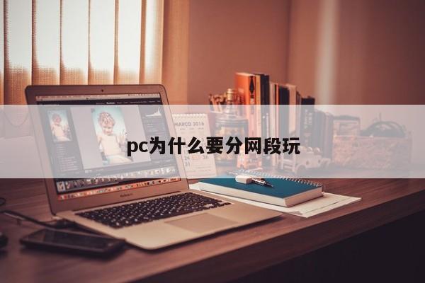 pc为什么要分网段玩