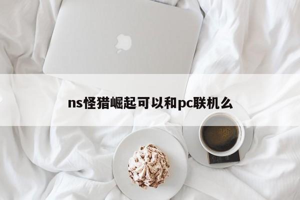 ns怪猎崛起可以和pc联机么